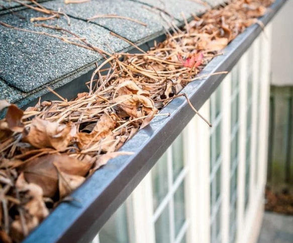 Leaf in gutter